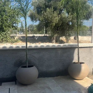 Yuvarlak Saksı #2